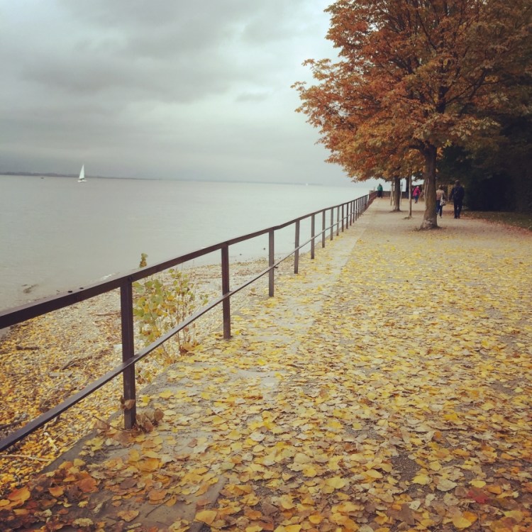 foto-27-10-16-18-44-23