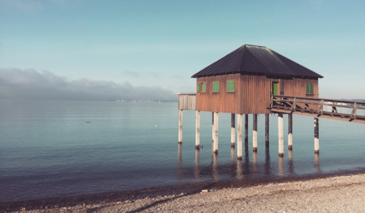 optimized-foto-07-12-16-3