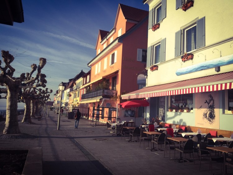 optimized-foto-08-12-16-4