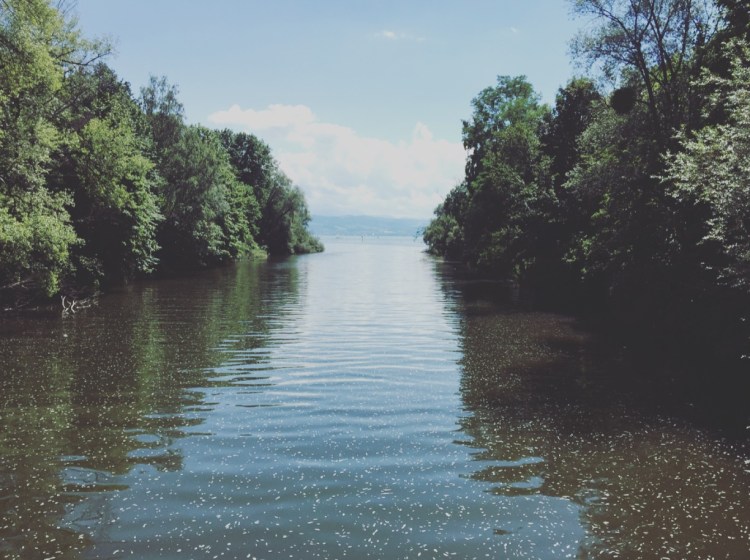 Langenargen fiume Argen, Germania, Bodensee, lago di Costanza, Baden Wurttemberg, Germania, Germany