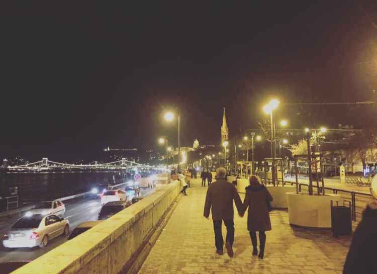 Ungheria, Budapest, lungo Danubio.