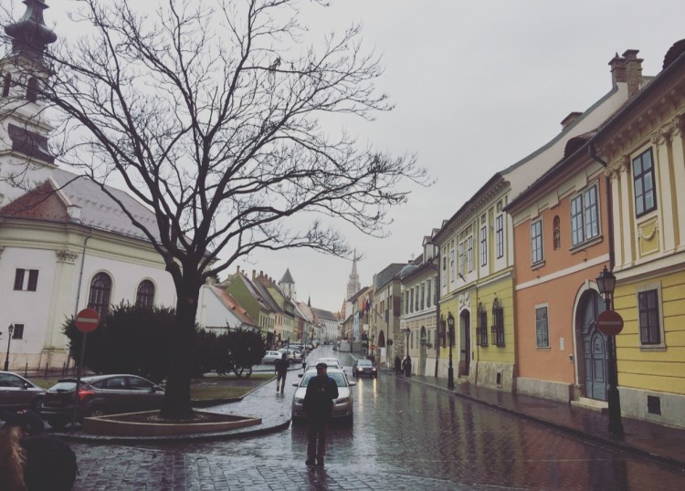 Quartiere del castello, Budapest, Ungheria.
