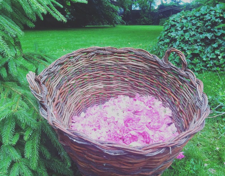 Foto 11-08-19, 14 23 52