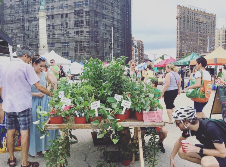 Grand Army Plaza green market, Brooklyn, New York.