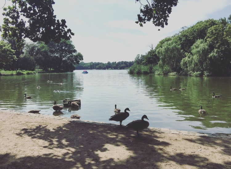 Prospect park, Brooklyn, New York.