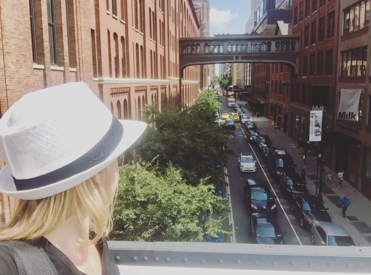 High Line, Manhattan, New York, Stati Uniti