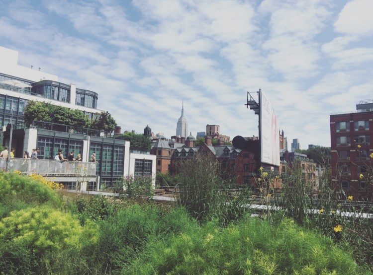 High Line, Manhattan, New York, Stati Uniti