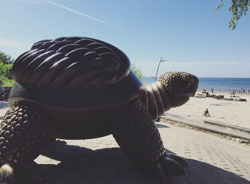 Lettonia, Jurmala, mar Baltico, Majori beach, tartaruga.
