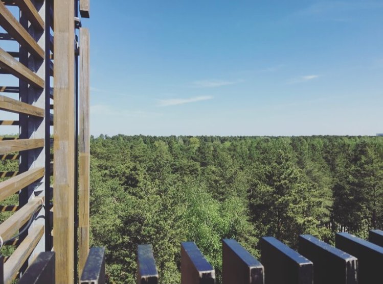 Lettonia, Jurmala, Dzintaru Mezapark, Observation tower.