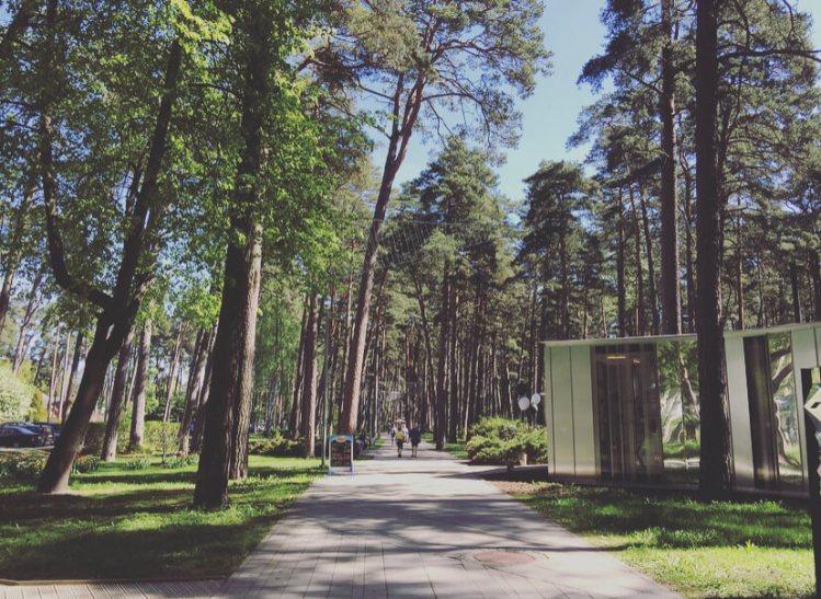 Lettonia, Jurmala, Dzintaru Mezapark.